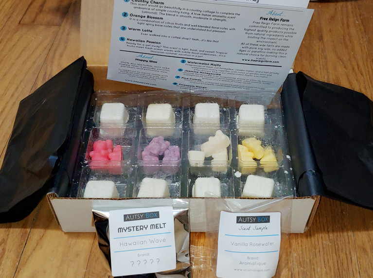 Autsy Box Subscription Wax Melts Review