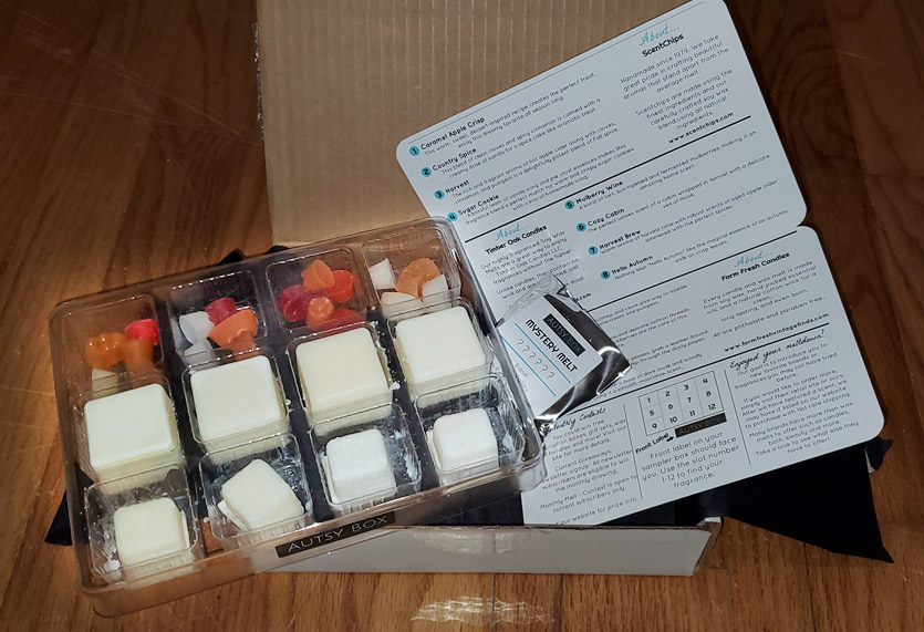 Autsy Box Subscription Wax Melts Review - Fall 2021